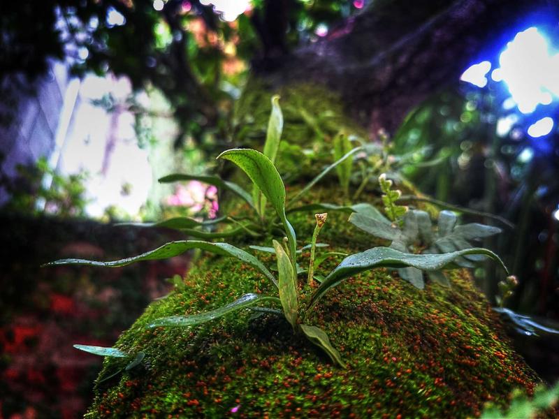 记忆碎片<br>qyo4zwyv.cn 植入体真伪辨